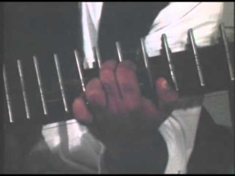 Zia Mohiuddin Dagar, Raja Chhatrapati Singh - Vina Solo Jor, Jhala. Rag Suddha Todii