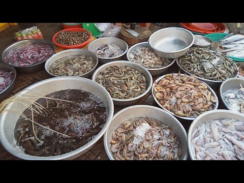 Seafood And Other Fresh Food Compilation - Local Street Food In Phnom Penh - Cambodian Market Food