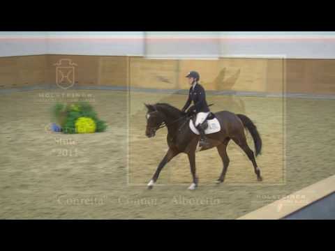 123 Conretta v. Connor - Alboretto