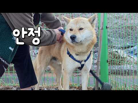 제일 큰 손해를 봤습니다