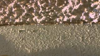 Textured Ceiling Painting Tip