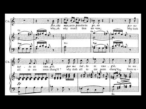 Dove Sono (Le nozze di Figaro - W.A. Mozart) Score Animation