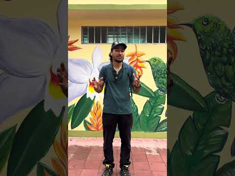 Fundación Luker proyecto Descubre cacao Gigante Huila. #culture #education #luker