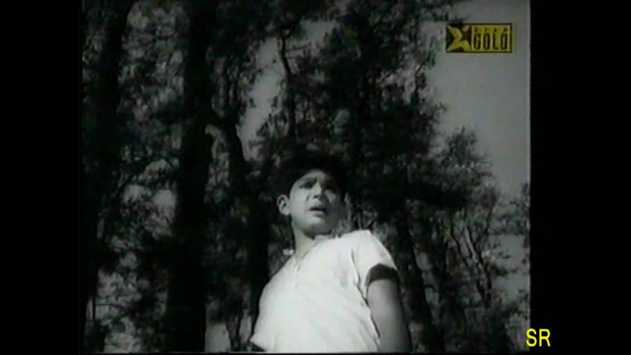 Ma Mujhe Apne Aanchal Me Chipa Ley Lyrics | Chhota Bhai | Lata Mangeshkar | Laxmikant Pyarelal