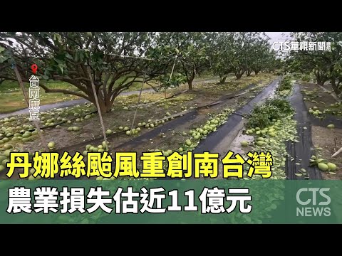 丹娜絲颱風重創南台灣　農業損失估近11億元
