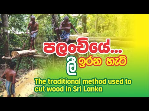 Palanchiye Lee Irana hati