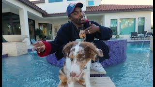 Big Baby - Austin Powers