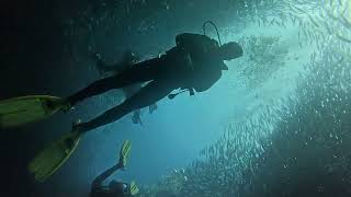 Scuba diving at Kicker Rock/Galapagos, 23.02.2025