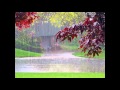 Think of Rain sung by Bobby Sherman
