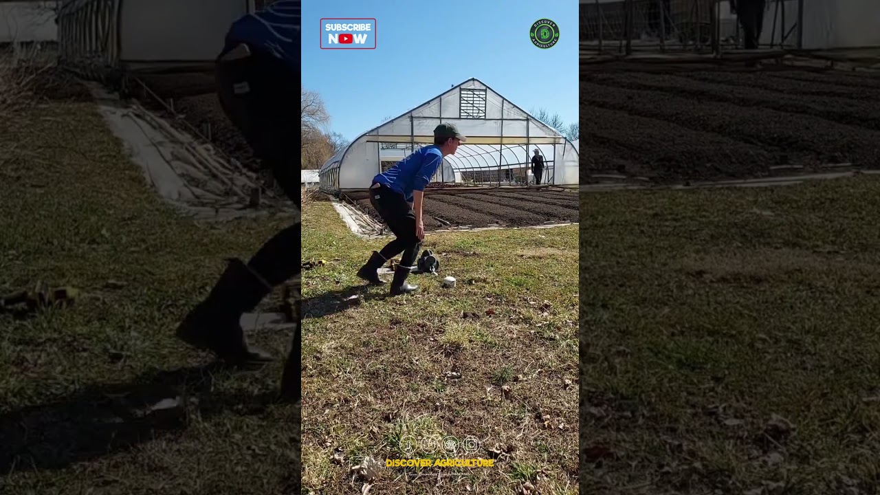 Movable Greenhouse Farm