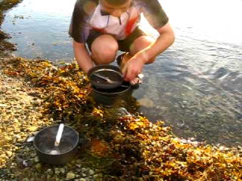 100napbringa.hu - Mosogatás egy fjordban