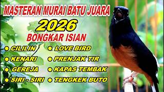 Download lagu 🔴 LIVE 16 - Masteran Murai Batu Pagi Hari Bongkar Isian Tembakan Panjang Murai Apapun Pasti Nyaut mp3