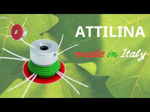 ΚΕΦΑΛΗ ΜΕΣΙΝΕΖΑΣ ATTILINA-thumb-1