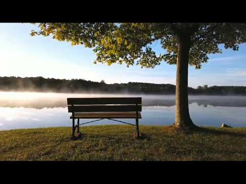 Nature video with relaxing music reduce stress,depression soul healing#trending