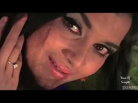 TERI AANKHON KE SIVAA (Mohd. Rafi / CHIRAG-1960) ~ Cover