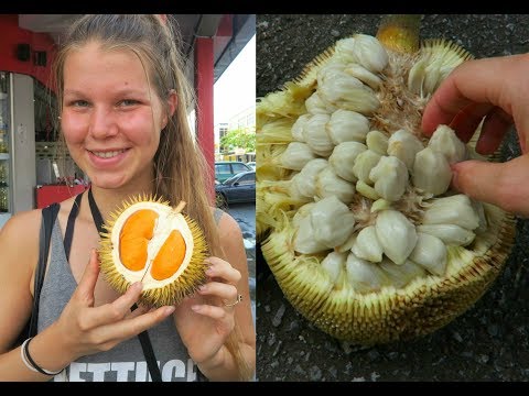 Borneo JUNGLE FRUIT market tour || Durio graveolens, Cempedak, Terap & MORE