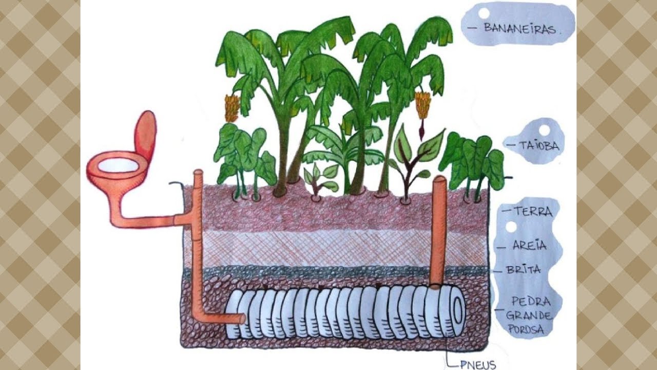 Esgoto do banheiro como nutriente para um pomar! Você teria coragem?