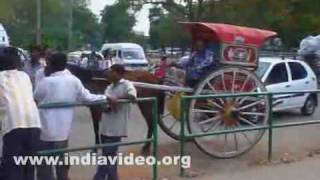 Horse carts or tongas at Mysore