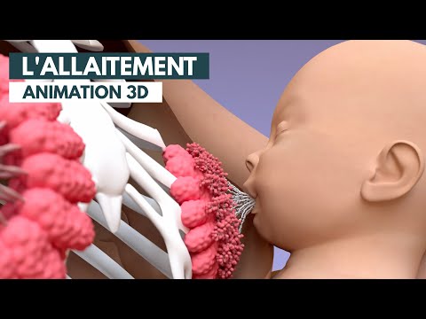 , title : 'Comment se fait la production du lait maternel? | Animation 3D'