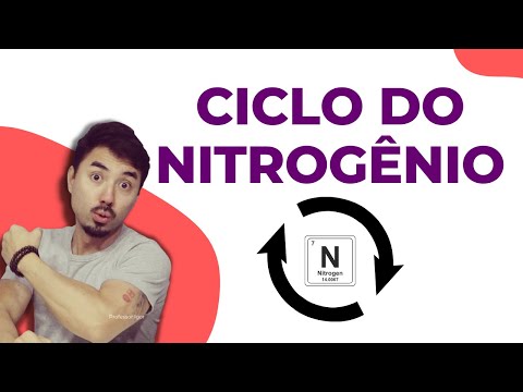 Nitrogen Cycle | Biogeochemical Cycles