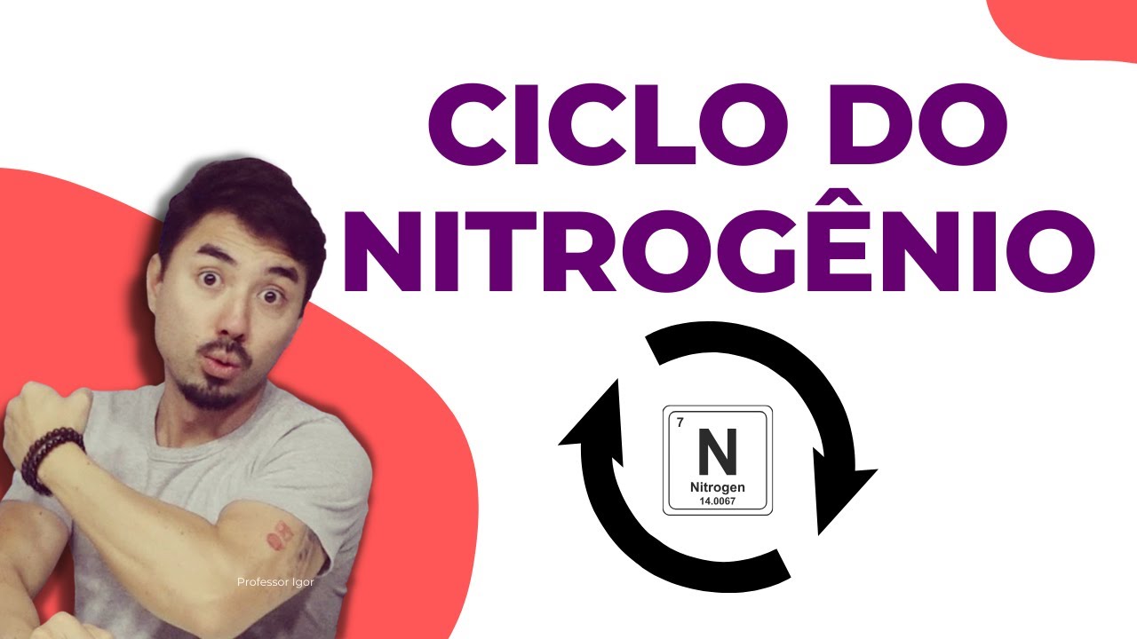Ciclo do Nitrogênio | Ciclo Biogeoquímicos