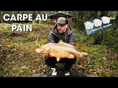 CARPE au PAIN - Bread Bomb Business