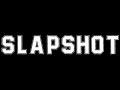 Slapshot - Desensitized