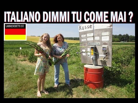 È formato mandibola Articolazioni infiammate nei piedi