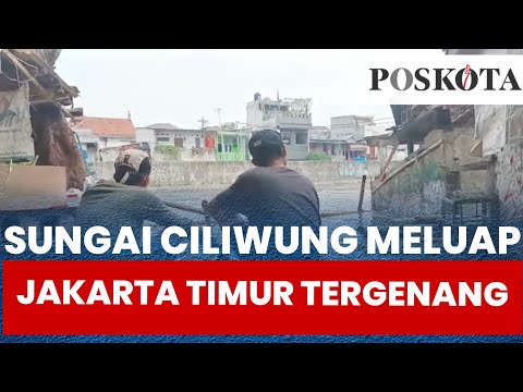 Sungai Ciliwung Meluap, Warga Jakarta Timur Tergenang Banjir