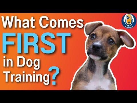 Dog Training With Layered Shaping: Why Classical Conditioning Must Come First #171 #podcast