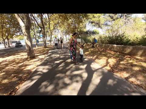 Day out...way to the beach!