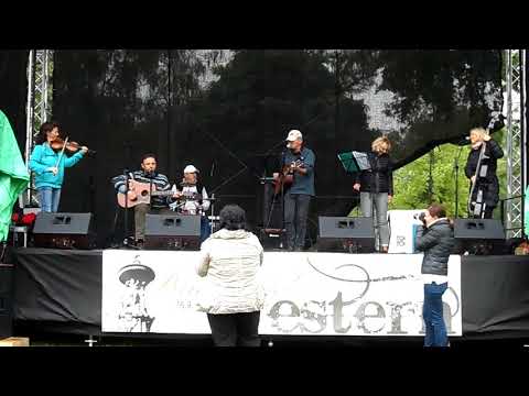 TAK či TAK - Dívka ze severu