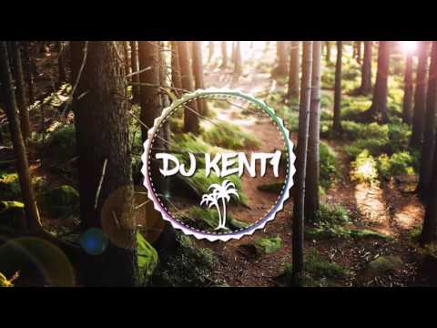 Dj Kent1 X Dj Wayz X Florida X Zara Larsson X Sean Paul (Mashup) Remix 2016