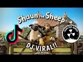 Download Lagu DJ SHAUN THE SHEEP VIRAL!! -DJ SAUN THE SHIP Mp3 Free