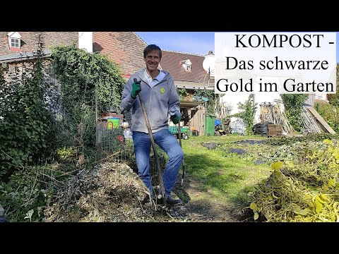 The perfect composting guide in 15 minutes 🌱 Materials, duration, space requirements & additives