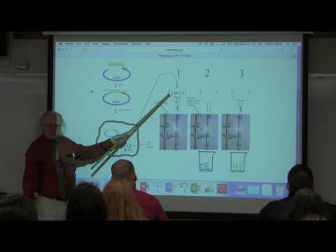 23. Ahern's BB 350 at Oregon State University - BioTechniques & Viruses