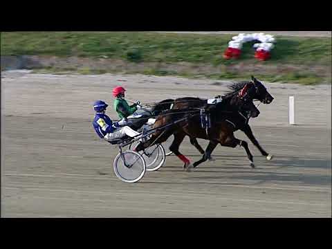 Napoli Trotto 19/03/2023 - prova di qualifica