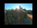 SUMMERTIME BLUES 🌞🌲🌲 (DJI FPV CINEMATIC) (RAW UNCUT DVR)