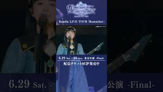 🌹Roselia LIVE TOUR「Rosenchor」大阪特別公演より「熱色スターマイン」ライブ映像を公開🌹 #Roselia #バンドリ