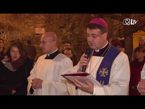 Izdvojeno 23.12.2017. - Kićenje bora ispred zagrebačke katedrale