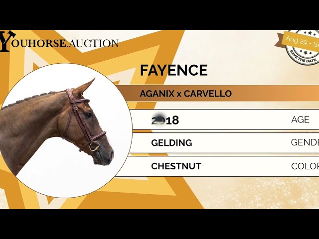 Fayence showvideo
