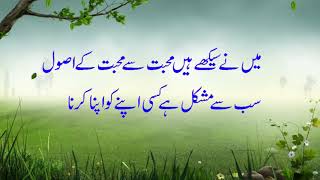 2 Lines Mohabbat Poetry | Mohabbat Sher-o-Shayari - Download this Video in MP3, M4A, WEBM, MP4, 3GP