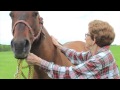 PORTRAIT OF A COWGIRL - Official Video - Eli Barsi - [ Wrangler Award Winner 2014 }