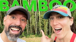 Colombian Adventure: Exploring a Magical Bamboo Forest with Our Expat Family!