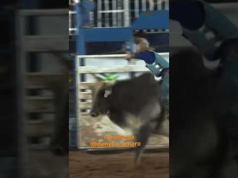 Leandro Martins x na final de gaucha do norte -Mt #rodeio #barretos #fe #rodeio #agro #fazenda #boi