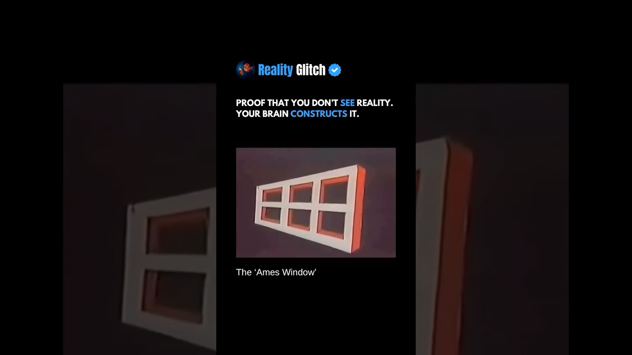 You see what your brain shows you