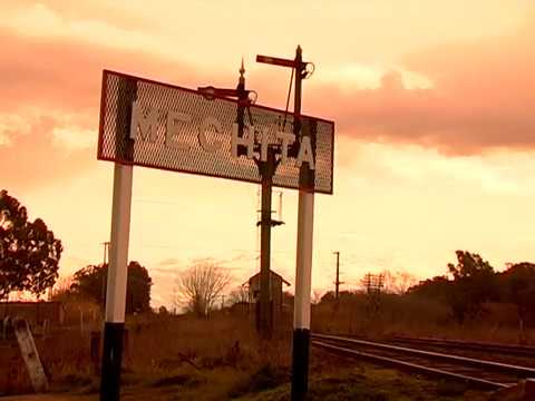 Ramal de vías muertas (2011) - R. Catania