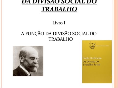 Sociologia: A  Divisão Social do Trabalho