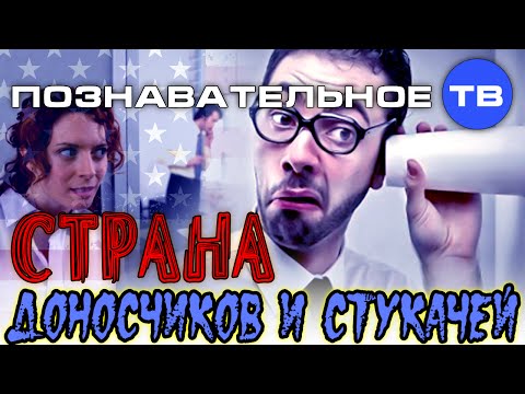 Закон и порядок в США