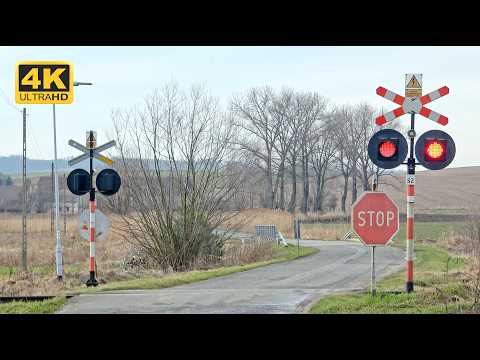 2+ Hour Railroad Crossing! ASMR ★ 4K ★